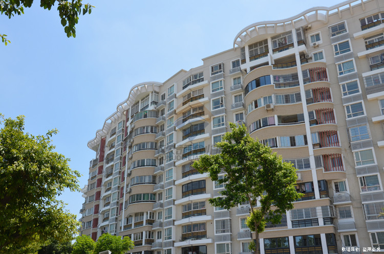 XiaMen BRICS-YONGSHENG(图2)
